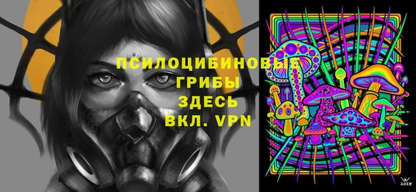 мескалин Арсеньев